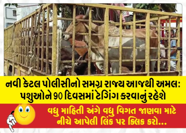 MailVadodara.com - State-wide-new-cattle-policy-to-be-implemented-from-today-Cattle-will-have-to-be-tagged-within-90-days