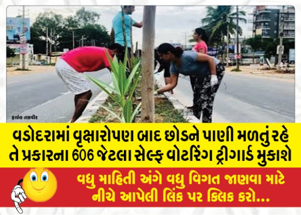 MailVadodara.com - As-many-as-606-self-watering-triggers-will-be-installed-in-Vadodara-to-ensure-that-plants-get-water-after-planting