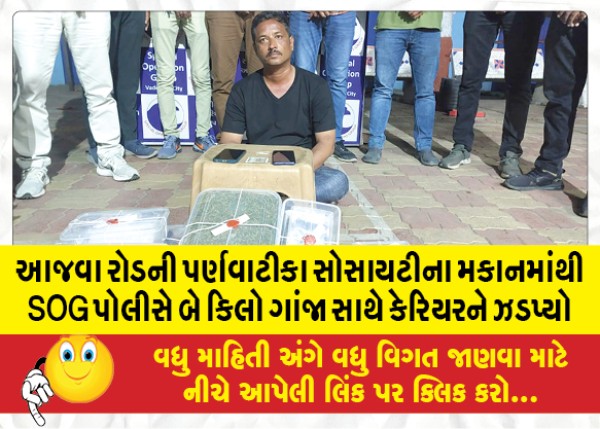 MailVadodara.com - SOG-police-nabs-carrier-with-2-kg-ganja-from-Parnavatika-society-house-in-Ajwa-road