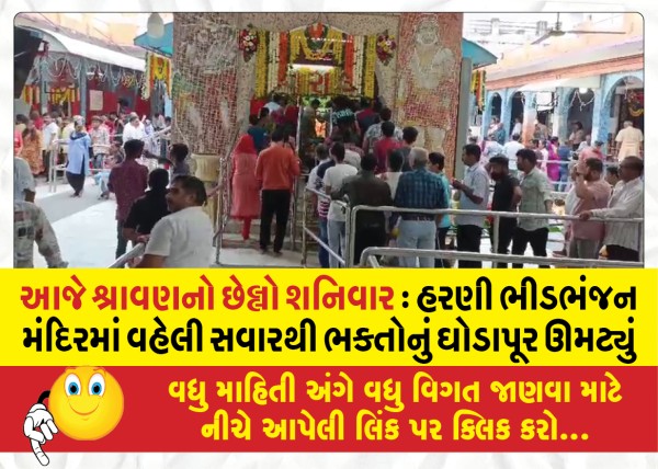 MailVadodara.com - Today-is-the-last-Saturday-of-Shravan-Harani-Bhidbhanjan-temple-is-thronged-with-devotees-since-early-morning