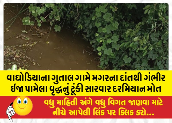 MailVadodara.com - In-Gutal-village-of-Waghodia-an-old-man-who-was-seriously-injured-by-the-teeth-of-a-crocodile-died-during-the-short-treatment