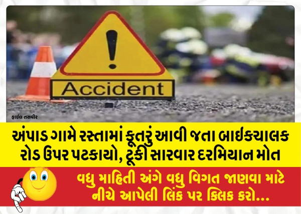 MailVadodara.com - Bike-rider-fell-on-the-road-when-a-dog-came-on-the-road-in-Ampad-village-died-during-short-treatment