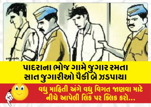 MailVadodara.com - Two-of-the-seven-gamblers-caught-gambling-at-Bhoj-village-in-Padra