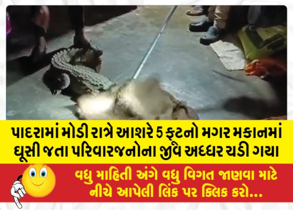 MailVadodara.com - In-Padra-the-lives-of-family-members-were-lost-after-a-crocodile-of-about-5-feet-entered-the-house-late-at-night