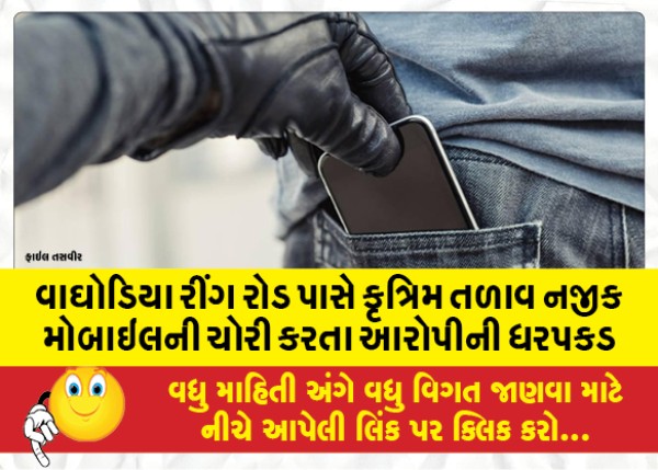 MailVadodara.com - Accused-arrested-for-stealing-mobile-near-artificial-lake-near-Waghodia-Ring-Road