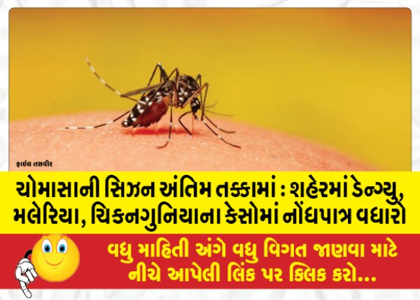 MailVadodara.com - Monsoon-season-in-final-stages-Dengue-malaria-chikungunya-cases-rise-significantly-vadodara