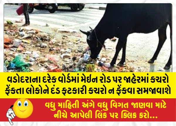 MailVadodara.com - In-every-ward-of-Vadodara-people-who-throw-garbage-in-public-on-the-main-road-will-be-fined-and-persuaded-not-to-throw-garbage