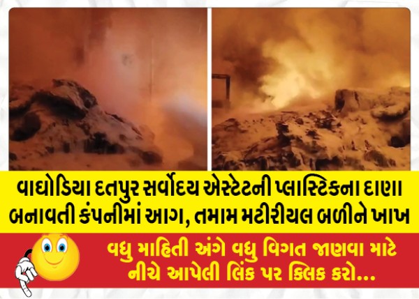 MailVadodara.com - Fire-in-Waghodia-Datpur-Sarvodaya-Estate-plastic-granule-company-all-material-burnt