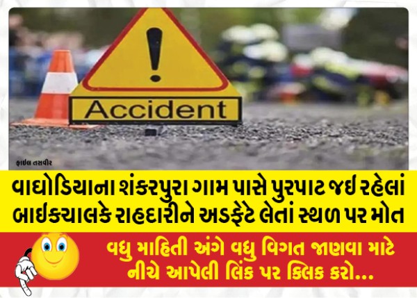 MailVadodara.com - Bike-rider-on-his-way-to-Purpat-near-Shankarpura-village-in-Waghodia-hit-a-pedestrian-and-died-on-the-spot