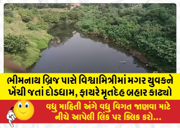 MailVadodara.com - Near-Bhimnath-Bridge-crocodile-drags-youth-in-Vishwamitri-rush-fire-recovers-body