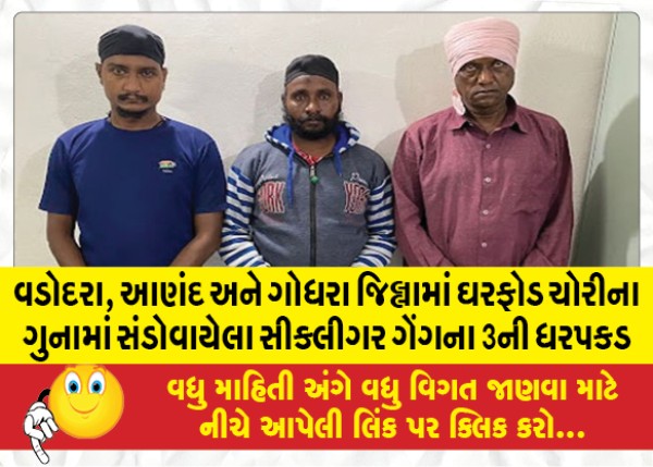 MailVadodara.com - 3-of-Sikligar-gang-arrested-for-burglary-in-Vadodara-Anand-and-Godhra-districts