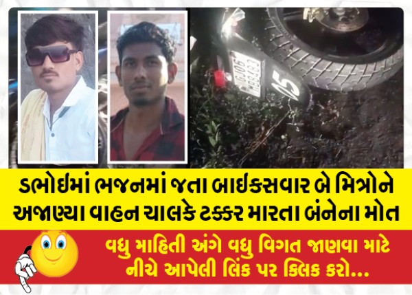 MailVadodara.com - In-Dabhoi-two-bike-riding-friends-were-killed-when-an-unknown-driver-hit-them-while-going-to-Bhajan