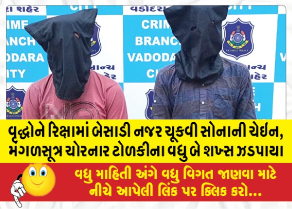 MailVadodara.com - Two-more-persons-of-the-gang-who-stole-gold-chain-Mangalsutra-from-old-people-in-rickshaw-were-caught