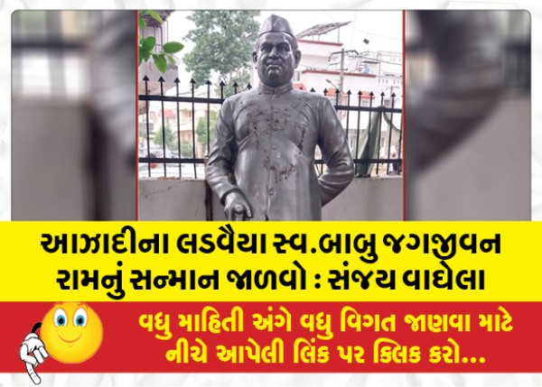 MailVadodara.com - Respect-freedom-fighter-late-Babu-Jagjivan-Ram-Sanjay-Vaghela