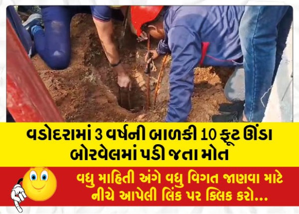 MailVadodara.com - A-3-year-old-girl-died-after-falling-into-a-10-feet-deep-borewell-in-Vadodara