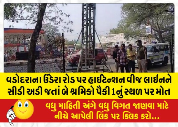 MailVadodara.com - One-of-the-two-laborers-died-on-the-spot-when-a-ladder-fell-on-a-high-tension-power-line-on-Undera-Road-in-Vadodara