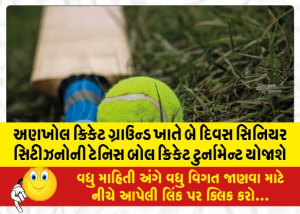 MailVadodara.com - Senior-Citizens-Tennis-Ball-Cricket-Tournament-will-be-held-for-two-days-at-Ankhol-Cricket-Ground