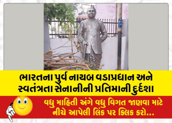 MailVadodara.com - Plight-of-Statue-of-Former-Deputy-Prime-Minister-of-India-and-Freedom-Fighter