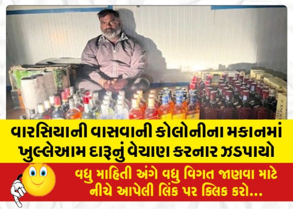 MailVadodara.com - An-open-liquor-seller-was-caught-in-a-house-in-Vaswani-Colony-Warsiya