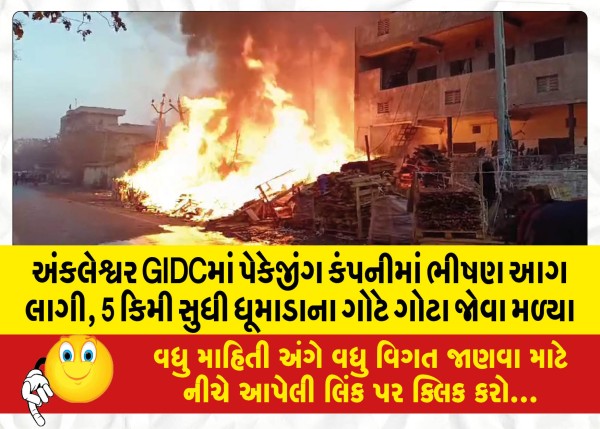 MailVadodara.com - Massive-fire-breaks-out-at-packaging-company-in-Ankleshwar-GIDC-plumes-of-smoke-seen-up-to-5-km