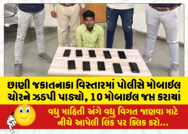 MailVadodara.com - Police-nabbed-a-mobile-thief-in-Chhani-Jakatnaka-area-10-mobiles-were-seized