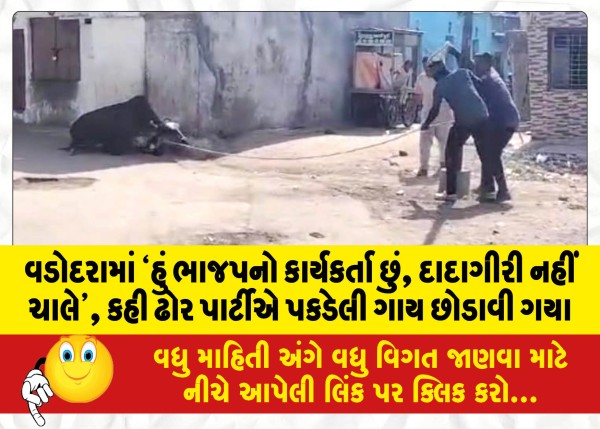 MailVadodara.com - I-am-a-BJP-worker-bullying-will-not-happen-3-persons-released-a-cow-caught-by-the-municipal-cattle-party