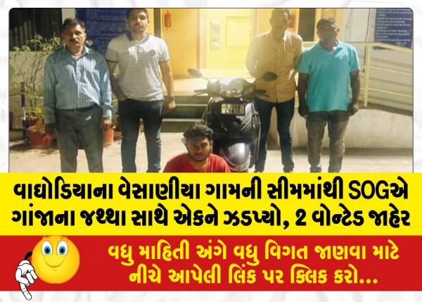 MailVadodara.com - SOG-arrests-one-with-quantity-of-ganja-2-wanted-declared-from-Vesania-village-seam-in-Waghodia