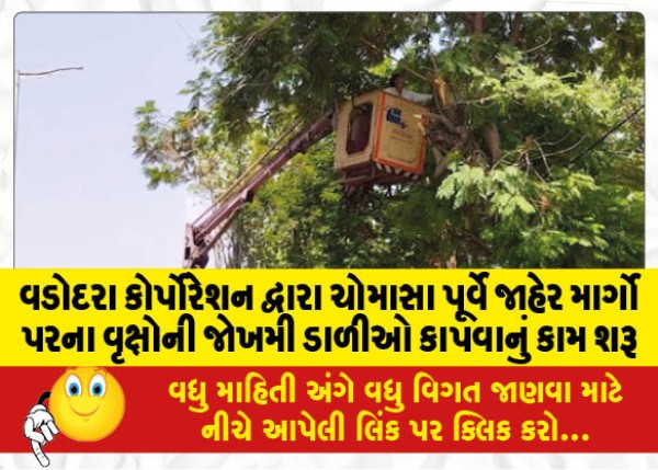 MailVadodara.com - Vadodara-Corporation-has-started-cutting-dangerous-tree-branches-on-public-roads-before-monsoon