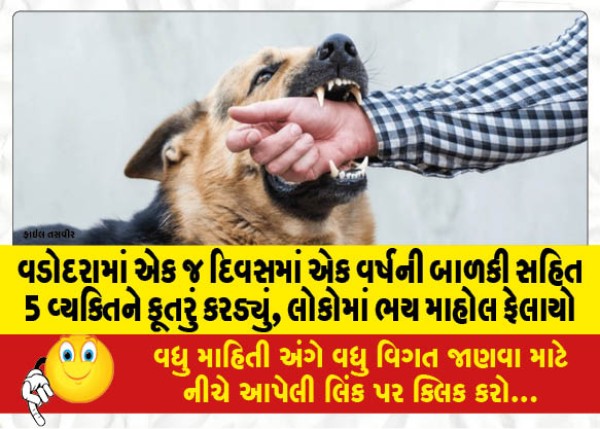 MailVadodara.com - 5-people,-including-a-one-year-old-girl-were-bitten-by-a-dog-in-a-single-day-in-Vadodara-fear-spread-among-the-people