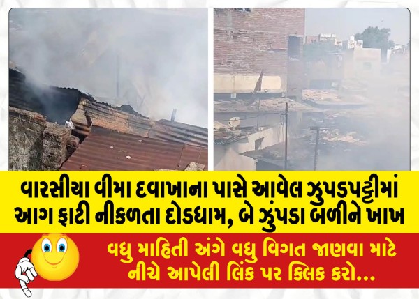 MailVadodara.com - A-fire-broke-out-in-a-slum-near-Warsia-Insurance-Hospital-two-huts-were-gutted