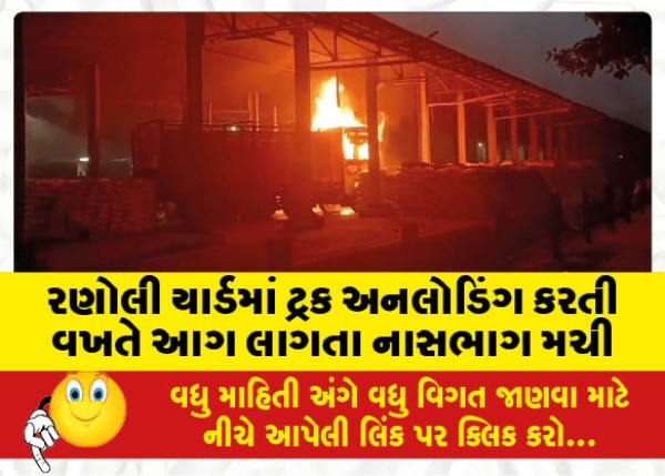 MailVadodara.com - A-fire-broke-out-while-unloading-a-truck-in-Ranoli-yard