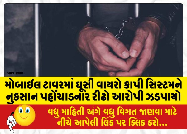 MailVadodara.com - A-habitual-accused-who-penetrated-the-mobile-tower-and-cut-the-wires-and-damaged-the-system-was-caught