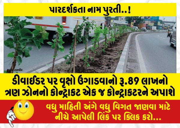 MailVadodara.com - A-three-zone-contract-worth-Rs-89-lakh-for-planting-trees-on-the-divider-will-be-awarded-to-a-single-contractor