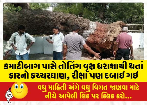 MailVadodara.com - Car-shed-rickshaw-were-also-crushed-when-a-spreading-tree-fell-near-Kamatibagh