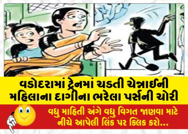 MailVadodara.com - Chennai-womans-purse-full-of-jewelery-stolen-while-boarding-a-train-in-Vadodara