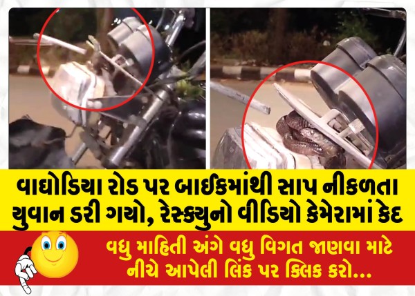 MailVadodara.com - A-young-man-got-scared-when-a-snake-came-out-of-his-bike-on-Waghodia-road-the-rescue-was-captured-on-video-camera