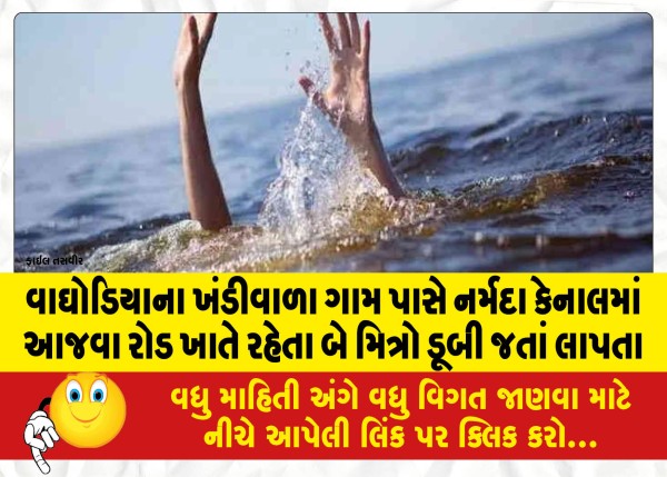 MailVadodara.com - Two-friends-living-at-Ajwa-Road-in-Narmada-Canal-near-Khandiwala-village-of-Waghodia-went-missing-after-drowning