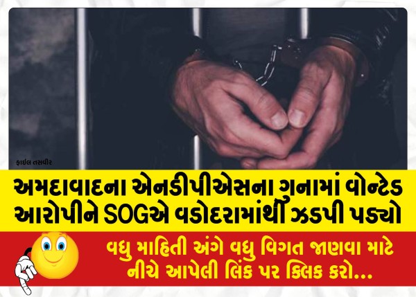 MailVadodara.com - A-wanted-accused-in-Ahmedabad-NDPS-crime-was-nabbed-by-SOG-from-Vadodara