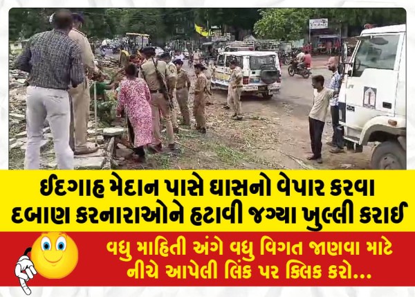 MailVadodara.com - The-area-near-the-Eidgah-Maidan-was-opened-by-removing-those-forcing-them-to-trade-grass