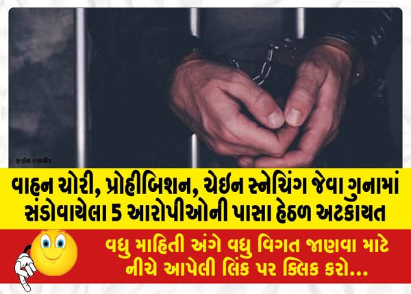 MailVadodara.com - Detention-of-5-accused-involved-in-crimes-like-vehicle-theft-prohibition-chain-snatching