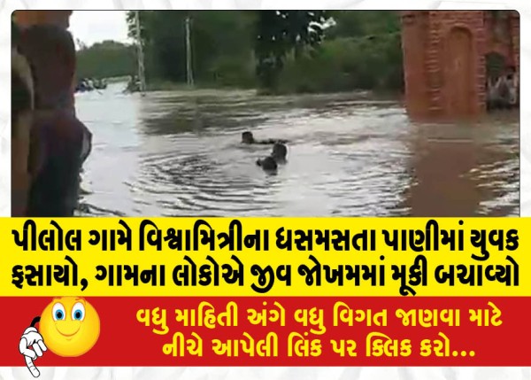 MailVadodara.com - A-young-man-got-trapped-in-the-raging-waters-of-Vishwamitri-in-Pilol-village-the-people-of-the-village-risked-their-lives-to-save-him