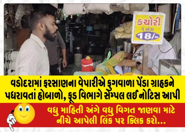 MailVadodara.com - Farsan-dealer-slaps-puffed-pandas-on-customers-food-department-issues-notice-after-taking-samples