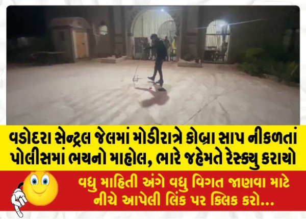 MailVadodara.com - A-cobra-snake-came-out-of-the-Vadodara-Central-Jail-late-at-night-causing-panic-among-the-police-rescue-was-done-with-great-effort