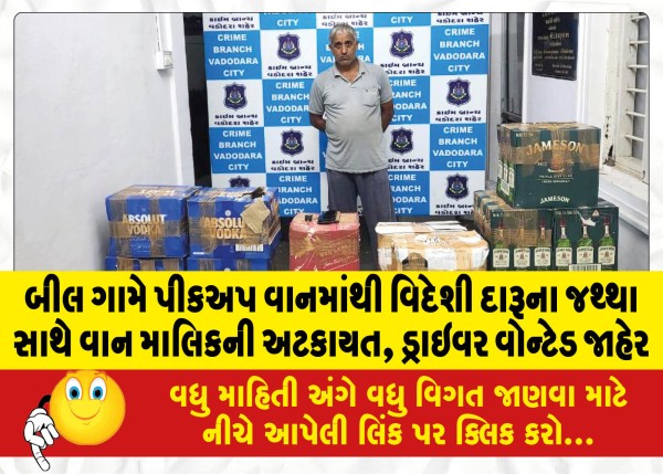 MailVadodara.com - Van-owner-arrested-with-quantity-of-foreign-liquor-from-pickup-van-in-Beel-village-driver-declared-wanted