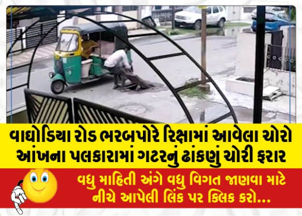 MailVadodara.com - Thieves-in-a-rickshaw-on-Waghodia-Road-Bharbpore-stole-a-drain-cover-in-the-blink-of-an-eye