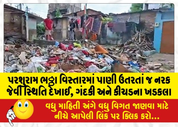 MailVadodara.com - As-the-water-receded-in-the-Parashuram-Bhatta-area-a-hellish-situation-appeared-filth-and-mud-rocks