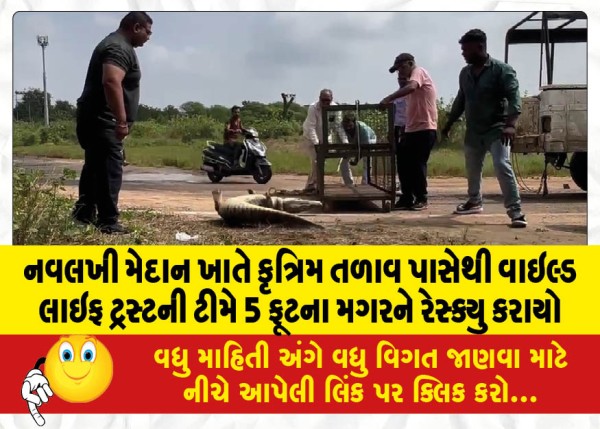 MailVadodara.com - A-5-foot-crocodile-was-rescued-by-a-team-of-the-Wildlife-Trust-from-an-artificial-pond-at-Navalkhi-Maidan