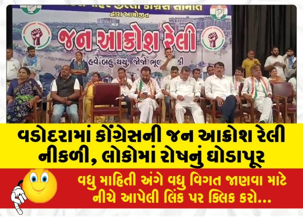 MailVadodara.com - Congress-public-outcry-rally-in-Vadodara-Outrage-among-people-Congress-workers-joined-the-rally-with-tubes-and-boats