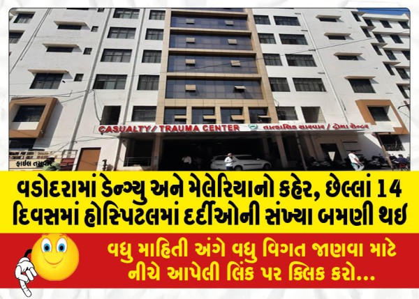 MailVadodara.com - Dengue-and-malaria-outbreak-in-Vadodara-number-of-hospital-patients-doubled-in-last-14-days