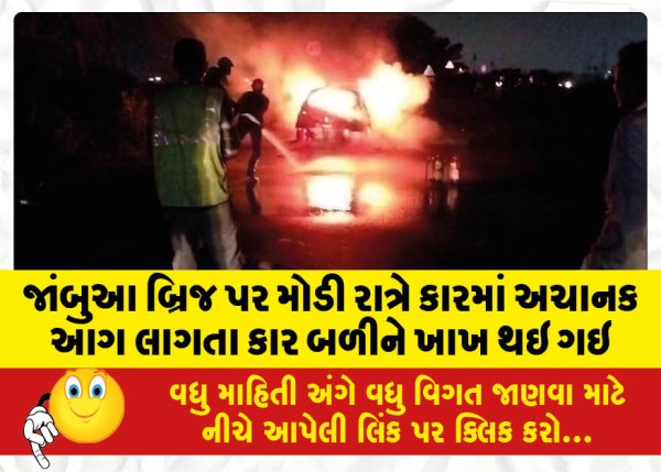 MailVadodara.com - A-car-caught-fire-late-at-night-on-Jambua-Bridge-and-the-car-was-gutted